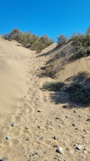2023-GC--Mapalomas dunas-S123-156.jpg